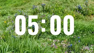 5 Minute Countdown Timer with Dreamy, Laid Back Music