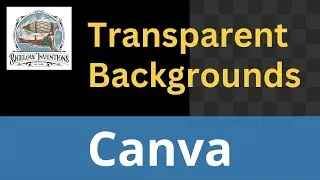 How to Get Transparent Backgrounds in Canva Pro