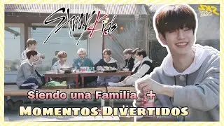 Stray Kids siendo una Familia + Momentos Divertidos (Pt.2)