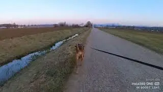 Insta360 One RS