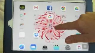How to use the Accessibility Shortcut on an iPad