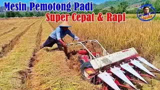 mesin pemotong padi super cepat dan rapi