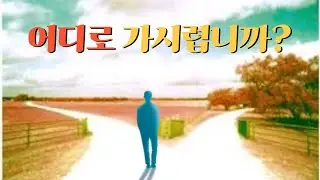 어디로 가시렵니까? [정자나무]