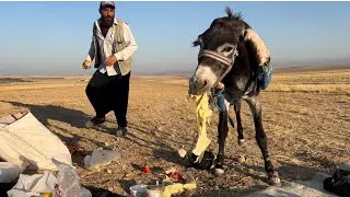 KOYUN İLE EŞEK EKMEĞİMİ KAÇIRDILAR-FISKE DE ATTI