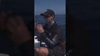 How fast are these fish?!!!! #wahoo #fishing #nature #summer #fun #tips #offshore #boat