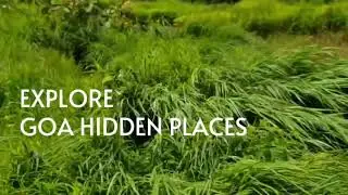 My First vlog explore GOA HIDDEN PLACES 😍