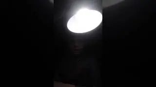летература  33 неделя
