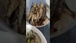 Atong paniodto