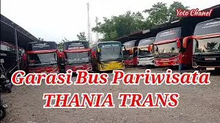 Bus Pariwisata THANIA TRANS