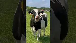 🏡Где были, что делали?