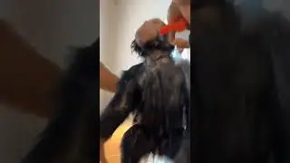 Чижик! Смешная озвучка🤣