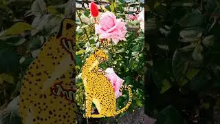 С добрым утром! #доброеутро #сдобрымутром#музыкальноепожелание#shortsvideo