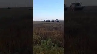 Опять дожди. Уборка урожая 2023.