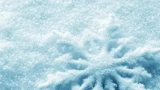 Music - Ambient - Лена Роговая - Махровый снег