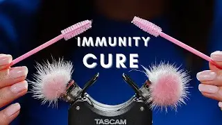 ASMR Triggers to CURE your Tingle Immunity - (No Talking, Tascam)