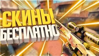 Скины бесплатно  в Standoff 2