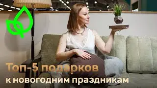 Топ 5 полезных, практичных и неординарных подарков к Новому Году от Райтон.