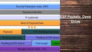IP-Sec Fundamentals ESP Packets Deep Drive