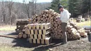 Installing a Honeybee Package with Jorik