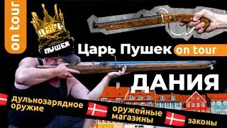 Оружейная Дания. Законы, магазины, соревнования по стрельбе из дульнозарядного оружия