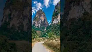 Ride like you mean it #travel #nature #motorbike