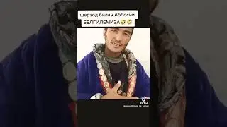 ШАРМАНДА КУТ Запал 2022