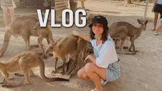 VLOG🦘💕