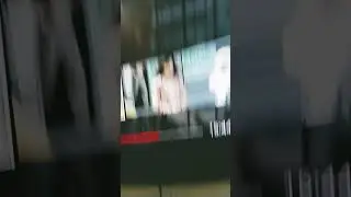 shitsus.mp3