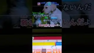 いきものがかり　風が吹いている　歌ってみた