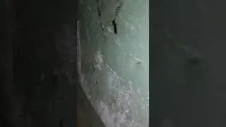 жесть в подвале на варшавском шоссе