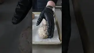 Homemade Scotch Eggs Recipe 