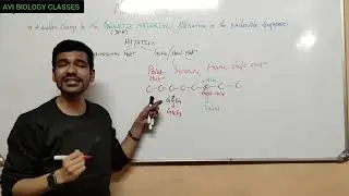 MUTATION - GENE / POINT MUTATION