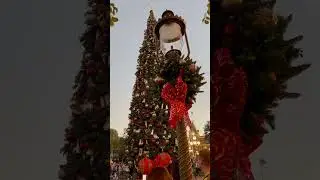 Christmas Tree Lighting at Disneyland!