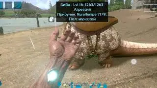 Ark: Строим ворота и редактируем забор