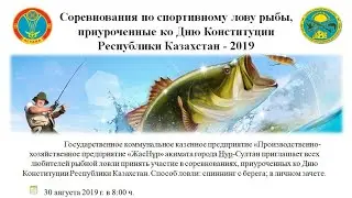 Соревнования по спортивному лову рыбы