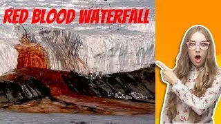 Antarctica facts 😮😮🤯 #trending #youtubevideo #facts