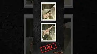 Fake photos part 2 