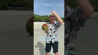 Ягодкамалинка 