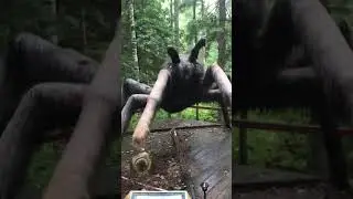 Очень большой 