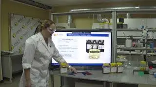 Представляем Вашему вниманию ATTALATE AS 129- тощий алкид, модифицированный стиролом.