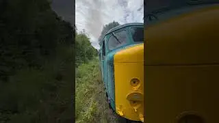 D4 Sulzer Sound! 21/7/24 #train #Class44 #britishrail