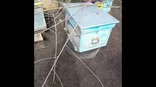 Облёт на новом месте. На заметку...