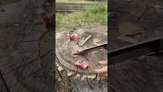 Комплект бойня нож Скотрез