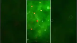 Template video background full screen || kinemaster template video background full || 