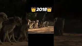Evolution Of Ballu #Shorts #Evolution #Edit