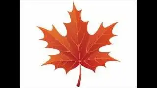 How to draw the sheet of maple, oak and birch trees on the steps