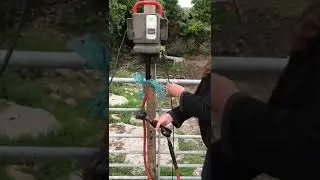 SHEEP CLIPPERS
