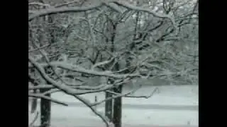 Winter in Toronto,Snow storm