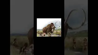 Evolution of elephant🐘 wolly mammoth (part1)