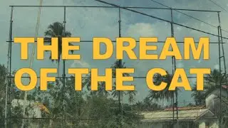 The Dream Of The Cat